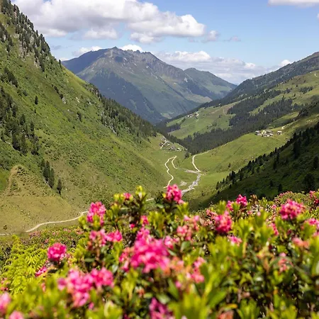 In With A Terrace Хохфюген